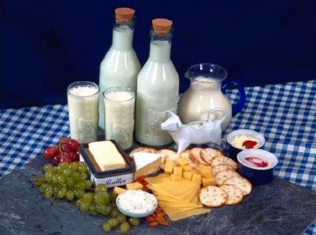 Yemas de huevo, productos lácteos enteros e hígado.