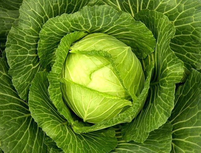 Los mejores productos para bajar de peso y belleza