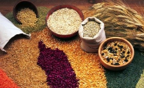 productos de grano integral