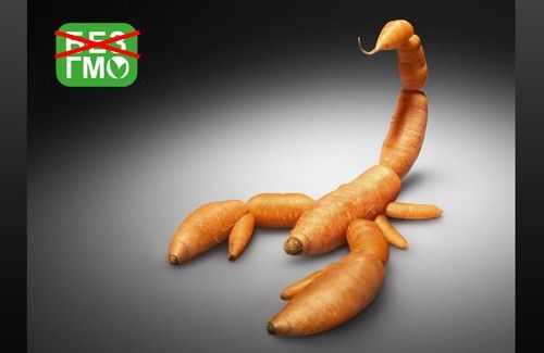 ¿Por qué Estados Unidos no quiere abandonar los alimentos modificados genéticamente?