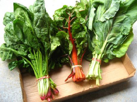 verduras de hoja