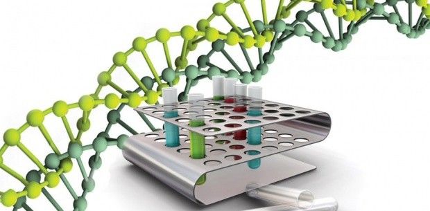 Los cromosomas artificiales ayudarán a hacer frente a las enfermedades hereditarias
