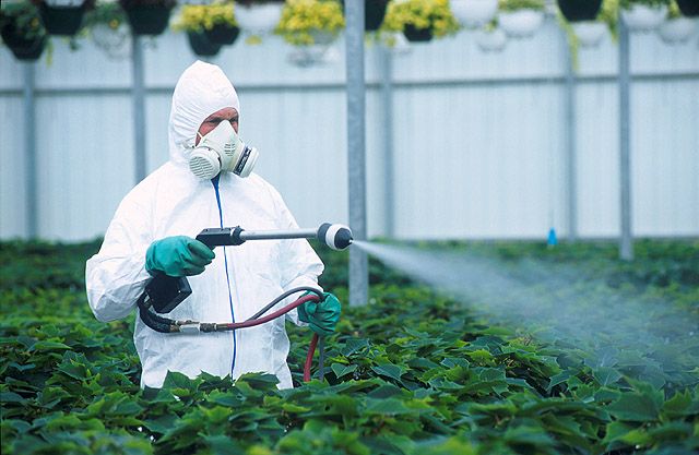 Nano plasticidas: ¿una nueva solución o una nueva amenaza? 