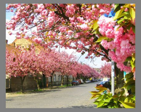 Descanse en la primavera en la parte occidental de Ucrania