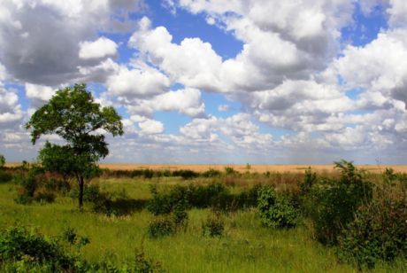 Vacaciones de primavera en la estepa ucraniana