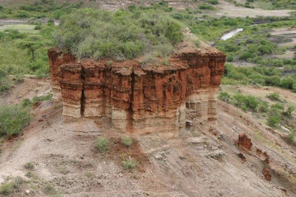 Los cambios climáticos drásticos han influido en la evolución humana