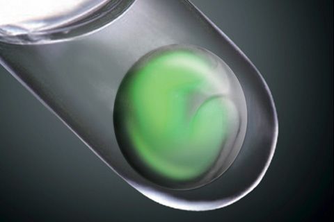 Retina cultivada a partir de células madre embrionarias humanas