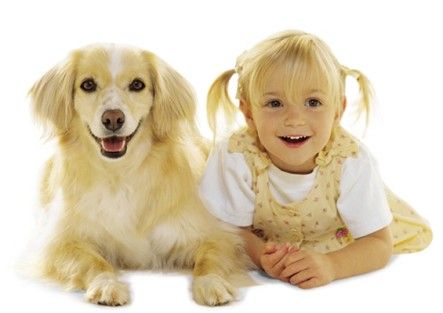 Las bacterias presentes en los perros podrían prevenir el asma