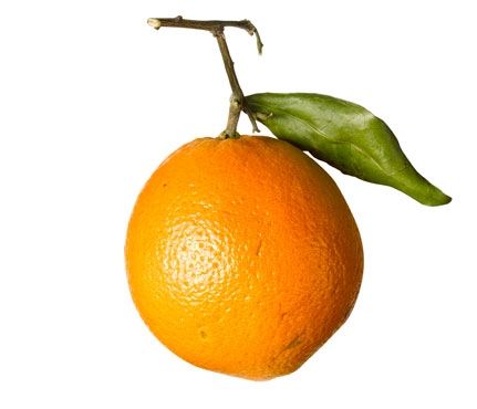 Los 10 mejores alimentos para una piel radiante y saludable
