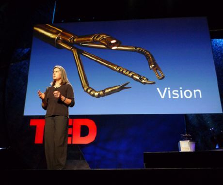 Da Vinci (cirujano robot)