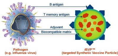 Se ha creado una vacuna sintética compleja basada en moléculas de ADN
