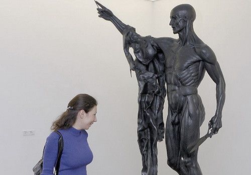 El tamaño de la dignidad de un hombre afecta su inteligencia.