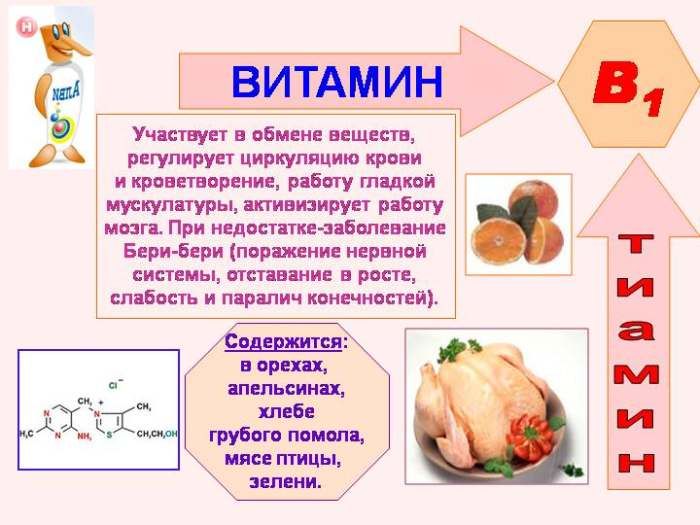 Las propiedades de la vitamina B1