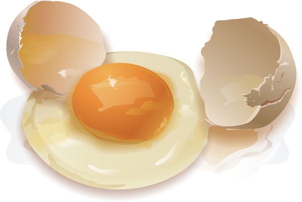 la acción de la dieta del huevo